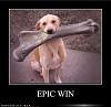 Click image for larger version.&nbsp;

Name:	epic-win.jpg&nbsp;
Views:	19&nbsp;
Size:	32.0 KB&nbsp;
ID:	135